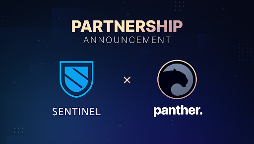  Panther Protocol partners with the decentralized VPN ecosystem Sentinel