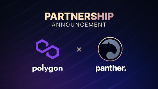  Panther and Polygon are Taking Privacy to New Heights in DeFi