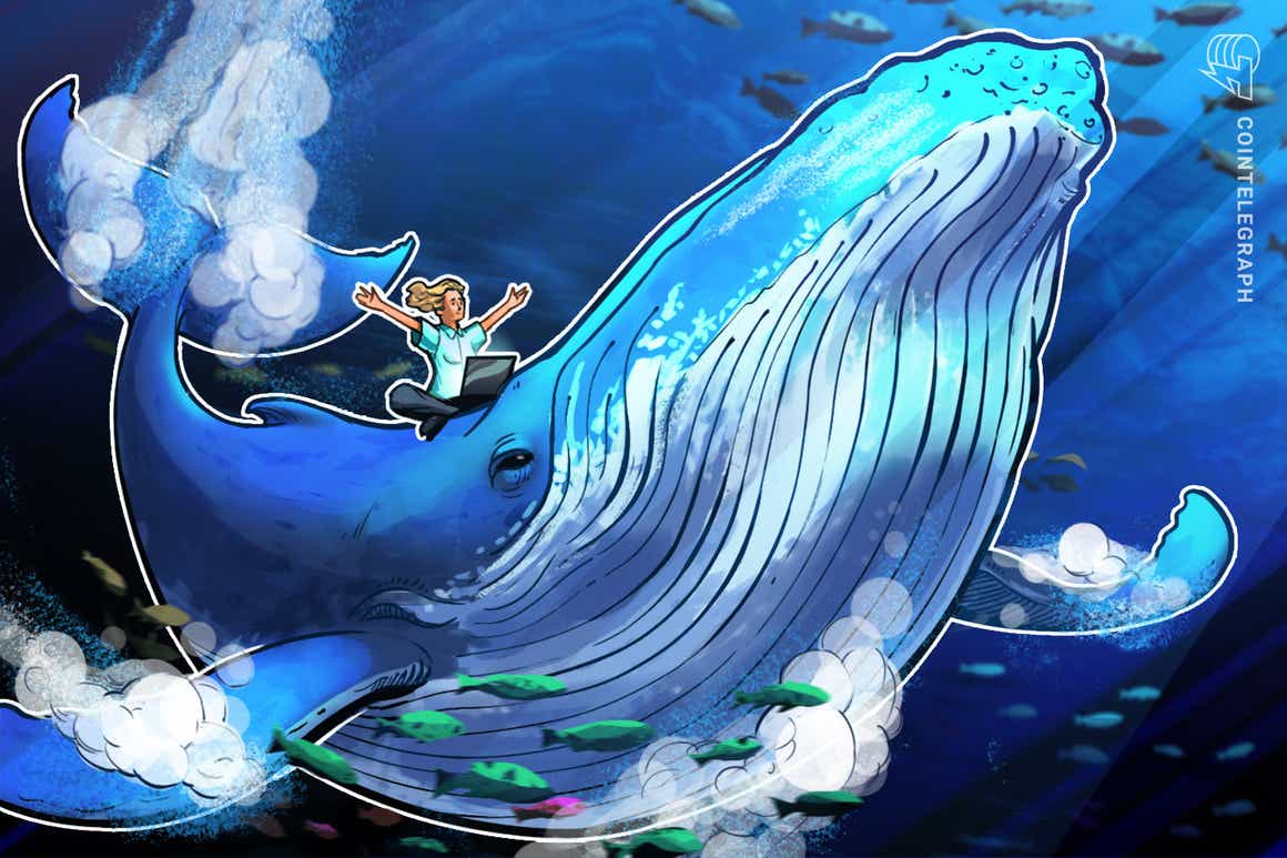 Bitcoin whales buy at $38K as BTC supply per whale hits 10-year high