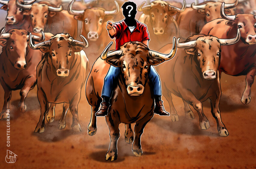  Who will drive the next crypto bull run?